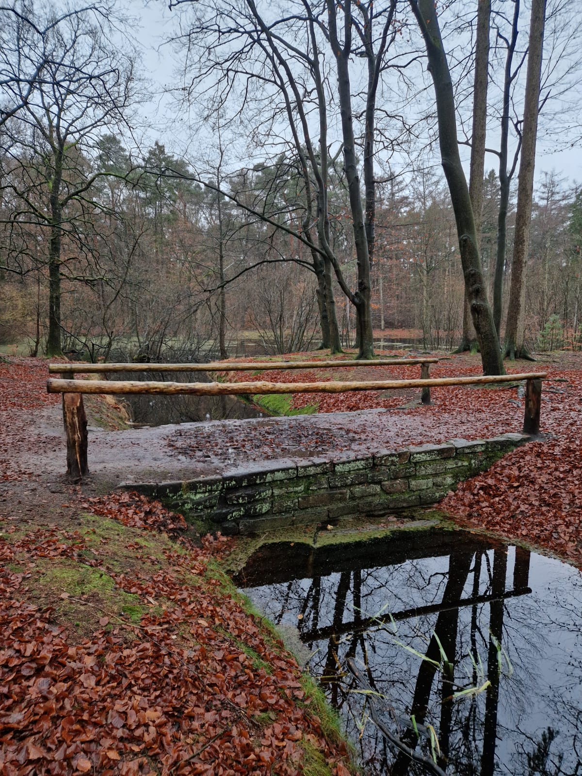 Kleine Brücke im herbstlichen Wald